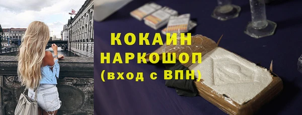 гашик Ельня