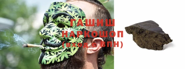 гашик Ельня