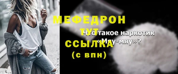 гашик Ельня