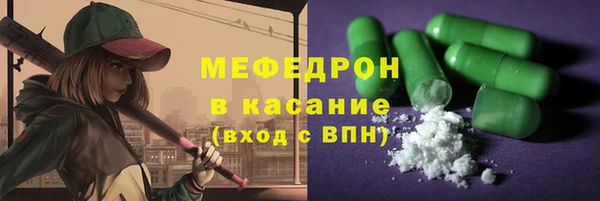 гашик Ельня