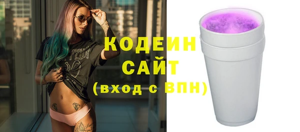гашик Ельня