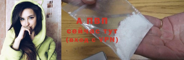 шишки Дмитров