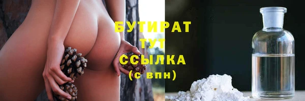 шишки Дмитров
