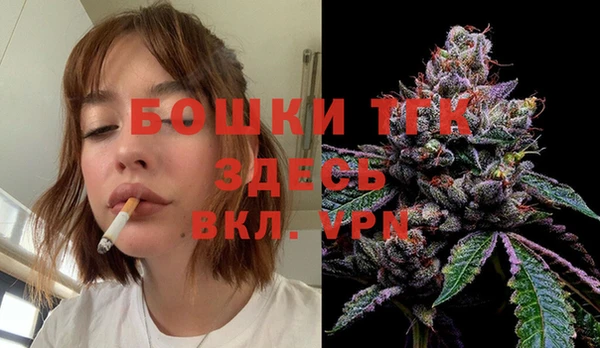 шишки Дмитров