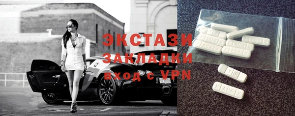 гашик Ельня