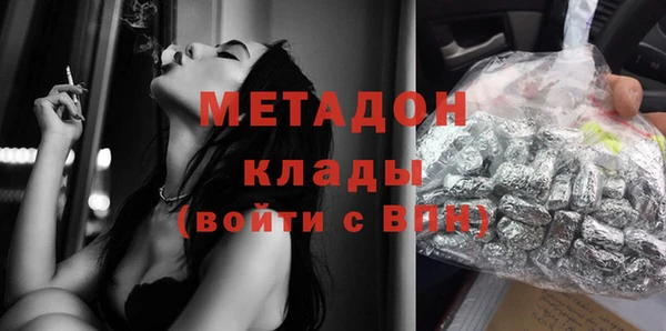 гашик Ельня