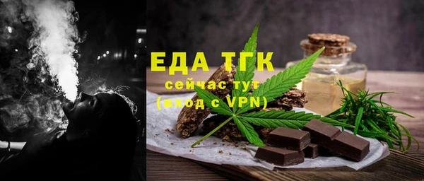 гашик Ельня